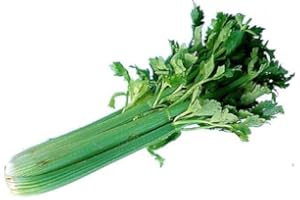 FRESH CELERY AT THE NEIGHBORHOOD CORNER STORE CELERY FRESH PRODUCE LARGE FRUIT VEGETABLES PER BUNDLE (1)