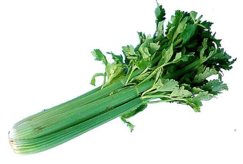 CELERY FRESH PRODUCE LARGE FRUIT VEGETABLES PER BUNDLE (1) CELERY FRESH PRODUCE LARGE FRUIT VEGETABLES PER BUNDLE (1)