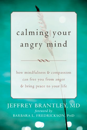 Calming Your Angry Mind: How Mindfulness and Compassion Can Free You from Anger and Bring Peace to Y