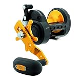 Daiwa STTBG40H Saltist 40 HighSpeed Black Gold Conventional Saltwater Reel