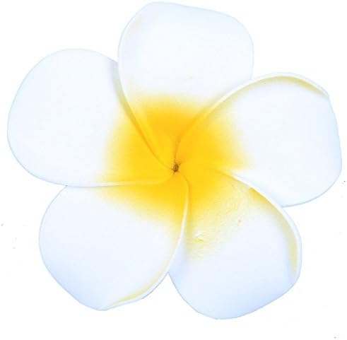 Hawaiian Hair Flowers/Florida Beach Plumeria Wedding Flowers Fabulous Foam Hawaii Frangipani Flower Hairclip 6pcs/lot (Big White)