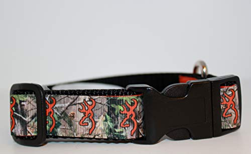 bird dog collars
