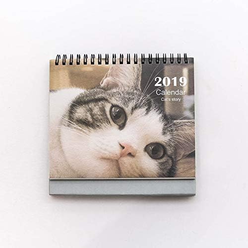 Download Chat en 2019 mensuel Calendrier de bureau avec support de table – 170 x 165 mm PDF