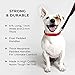 [Strong] Dog Leash with Bonus Free Waste Bag Dispenser – Thick Padded Dual Handles, Includes Poop Bags & 100% Nylon (6ft. Long) – Comfortable Grip – Ideal for Large, Medium and Small Dogs