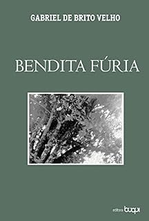 Livro Bendita fúria