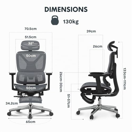 FLEXISPOT ErgoX Office Chair, 3D Armrests, Ergonomic Mesh Swivel Chair Height Adjustable with Headrest and Independent Lumbar Support, Grey