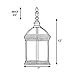 ETOPLIGHTING Bella Luce Collection Exterior Outdoor Wall Lantern, Oil Rubbed Rust Body Finish Clear Seeded Glass, APL1023