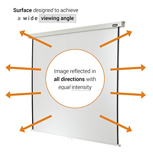 manual-Professional-screen