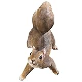 Collections Etc Over The Fence Squirrel Decoration, Brown