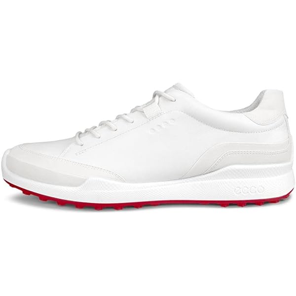 Amazon.com | ECCO Men's Tray Hydromax Waterproof Golf Shoe