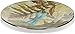 Angelstar 19162 Dragonfly Spirit Round Plate, 12-1/2
