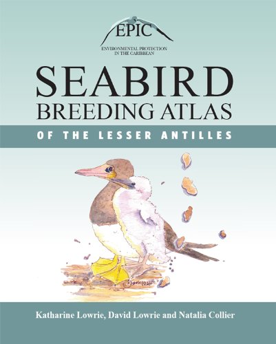 Seabird Breeding Atlas of the Lesser Antilles by Katharine Lowrie