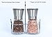 Homeerr P1638068 Salt and Pepper Grinder Set, Adjustable Ceramic Rotor(Set of 2)