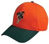 MiLB Minor League ADULT GREENSBORO GRASSHOPPERS Dark Green/Orange Hat Cap Adjustable Velcro TWILL 