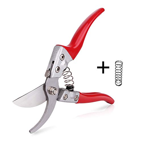 BIGLUFU 8″ Flower Clippers Scissors Limb Trimmer Pruning Shears Blade Trimmers Garden Professional Gardening Shear Cutters, SK-5 Steel Anvil Scissor, High Carbon Steel Hand, Plant Secateurs, Backyard