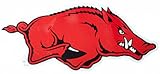 NCAA Arkansas Razorbacks Car Magnet 