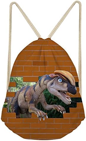 doginthehole Dinosaur Lightweight 3D Drawstring Bag Gym Travel Storage Backpack