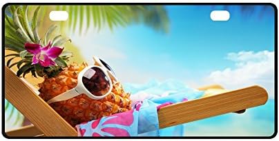 Durable Metal License Plate Frame for Women/Men Novelty Hipster Pineapple Art with Sunglasses Two Holes Car Tag (New) 11.8 X 6.1 inches