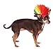 Rubies Rainbow Mohawk Pet Wig, Small/Medium