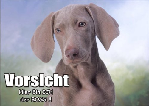 INDIGOS UG Türschild FunSchild SE705 DIN A4 ACHTUNG