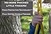 Squirrel Products High Back Full Bucket Toddler Swing 2.0 with Pinch Protection Technology & Patented Ergonomic Design with Carabiners for Easy Install