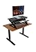 iMovR ZipLift+ Standing Desk Converter with Ergonomic Tilting Keyboard Tray in Black with EverMat Portable Standing Mat