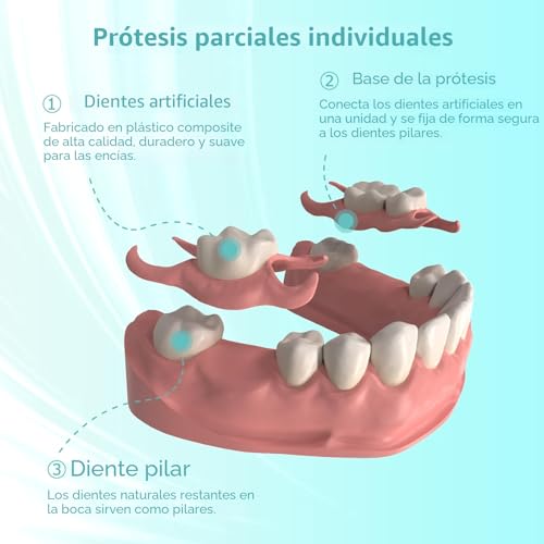 Custom Partial Denture for Dental Spaces - Removable Provisional Denture for Men & Women, Dentures with Perfect Fit Easy to Use for a Perfect Smile (2 Teeth)
