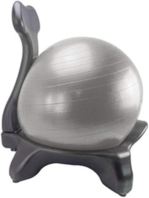 exercise ball on wheels