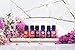 Woolzies Best Natural Rose Essential Oil Blend 1 Oz - Therapeutic & Premium Graded Aromatherapy Oil - Most Popular for Relaxation, & Skin Healing Use - For Diffusion & Topical Use
