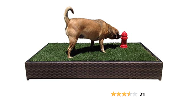 fire hydrant dog pee pad