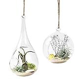 Mkono 2 Pack Glass Hanging Planter Air Plant Terrarium Home Decorations Gift Idea for Succulent Moss Tillandsias Air Ferns Candles, Globe and Teardrop