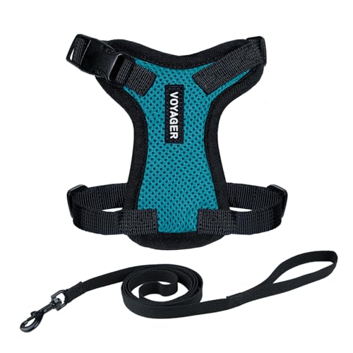 Voyager Escape-Proof Step-in Lock Cat Harness & 5ft Neoprene-Handle Leash Set A…