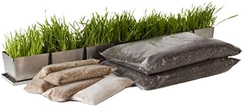 Starter Wheatgrass Kit - Daily Tray Edition w/ Drip Tray