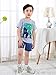 Fiream Baby Boy's Cotton Cute Short Sleeve Clothing Set(Set1,2T)