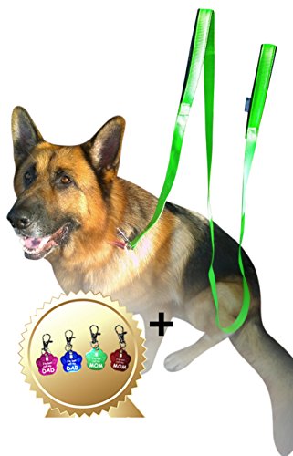 2 Handles Dog Leash - 8FT 2Inch Green Dual Handle Dog Leash - FREE Bonus Dog Tag - Dog Leashes For Large Dogs Heavy Duty - Leash For Dogs Who Pull - Dog Leash Large Heavy Duty