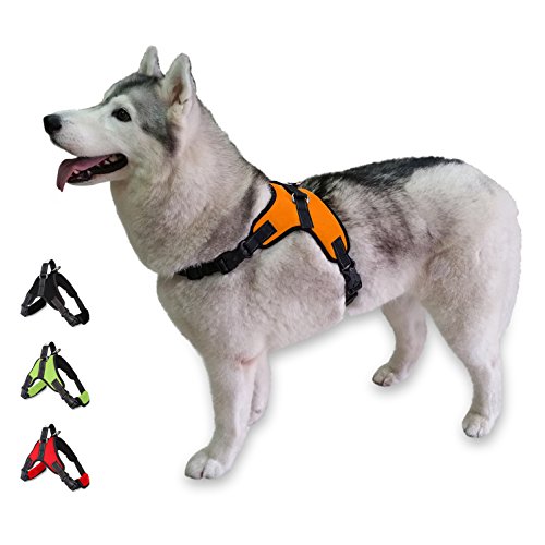 5 Best EscapeProof Dog Harnesses for Houdini Hounds [2019 Reviews]
