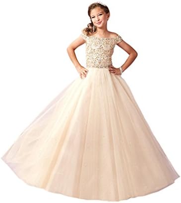 Wenli Kids Off Shoulder Bateau Neck Tulle Ball Gown Girls Princess Dress 16 US White