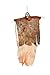 Hanging Halloween Decoration - Realistic Floating Ghoul Ghost Skeleton Face - 4 Pieces - Use In Home Or Office - Create Frightening Atmosphere & Make People Jump As They Walk Past The Horror