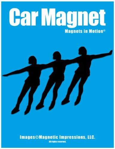 Synchronized Skaters Car Magnet Black