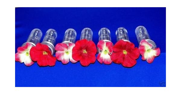 Amazon Com 7 Hummingbird Feeder Replacement Tubes Garden Outdoor