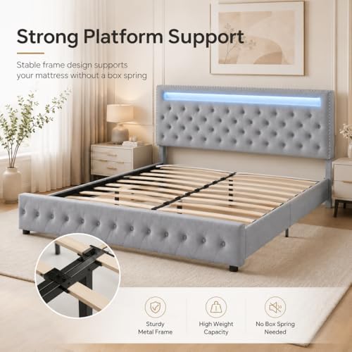 Queen Size LED Bed Frame with Adjustable Upholstered Headboard, LED Light Headboard Footboard, 4 Underbed Drawers, Wooden Slats Support, Metal Platform Bed Frame, No Box Spring Needed, Velvet Grey
