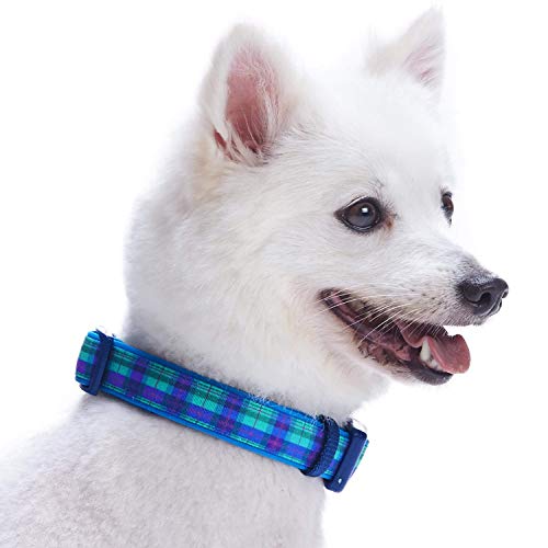 Blueberry Pet Soft & Comfy Scottish Hudson Blue Plaid Tartan Style Designer Padded Adjustable