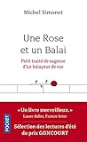 Une Rose et un Balai : Petit traité de sagesse d'un balayeur de rue by 