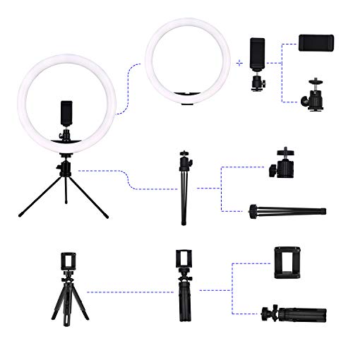 12 Inches LED Ring Light with Stand and 2 Cell Phone Holder, Desktop