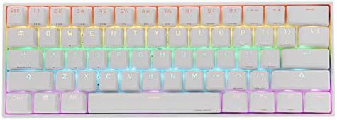 LIYOU Anne Pro 2 60% NKRO Bluetooth 4.0 Type-C RGB Mechanical Gaming Keyboard 61 Keys Mechanical Keyboard (White, Cherry MX Blue Switch)