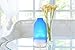 Deneve Essential Oil Diffuser Botella Glass Aromatherapy Oils Humidifier and Mister Perfect Decor Gift for a Peaceful Home Wellness Workout Yoga & Meditation or Office Space (Prism Color)