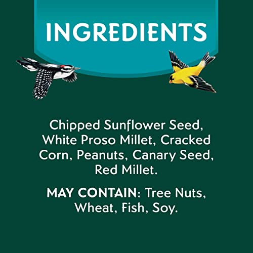 MORNING SONG CLEAN & FREE SHELL FREE WILD BIRD FOOD, PREMIUM NO MESS BIRD SEED FOR OUTSIDE FEEDERS, 10-POUND BAG