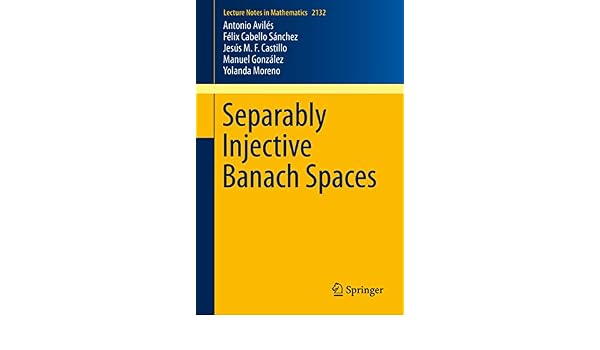 Separably Injective Banach Spaces Lecture Notes In - 