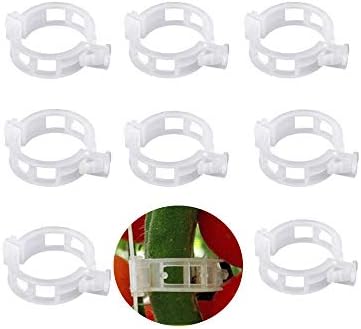 ICYANG 100 Clips de sujeción de Plantas para Soporte de Plantas y ...