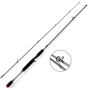 Gwfish Canne A Peche Silure Surf Casting Spinning Truite, Fishing Rod Carpe Portable Casting Carnassier 2 Sections De…